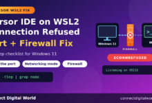 'Connection Refused' in Cursor IDE