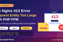 How to Fix Nginx 413 'Request Entity Too Large' with PHP-FPM